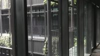 radisson telegraph (4)