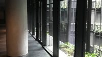 radisson telegraph (6)