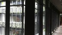 radisson telegraph (7)